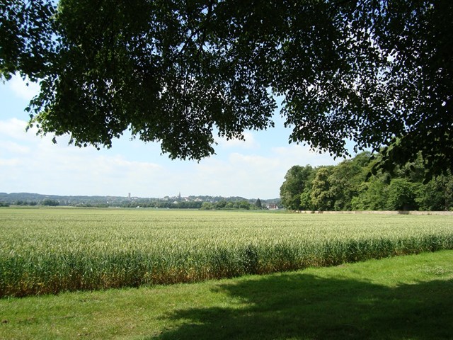 アウグトゥスブルク城の領域を出て、さらにまっすぐ進む道の両側は、広々とした麦畑。